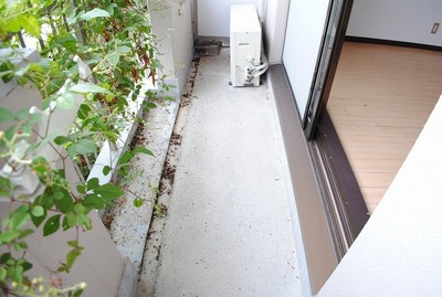 Other. ※ It is a photograph of another room of the same apartment.