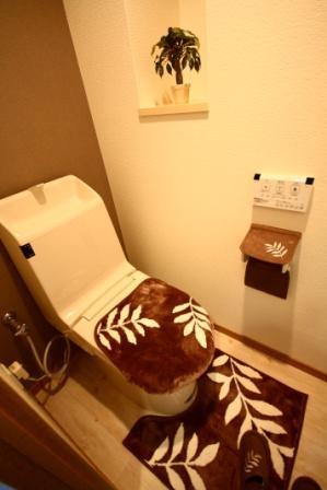 Toilet. Our construction cases