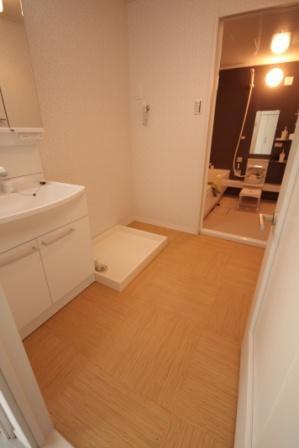 Wash basin, toilet. Our construction cases