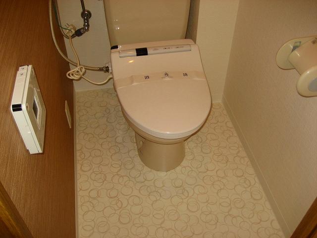 Toilet. Indoor (September 2013) Shooting