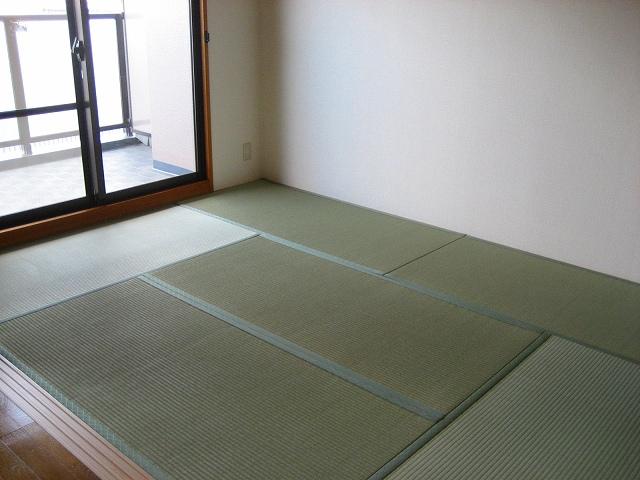 Non-living room. Indoor (September 2013) Shooting