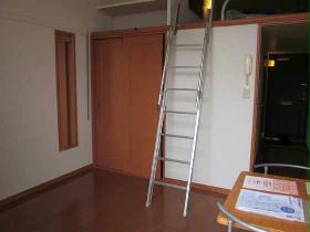 Living and room. Flooring of the room