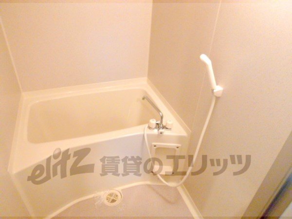 Bath. Bright Bathing