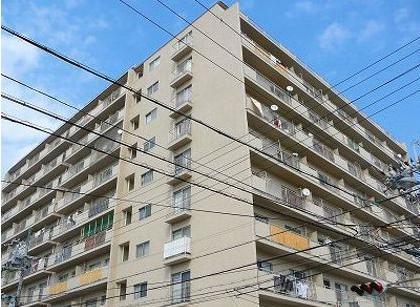 Local appearance photo. Local (April 2012) shooting