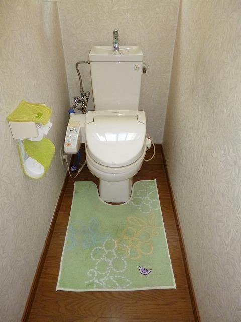 Toilet. Indoor (11 May 2013) Shooting