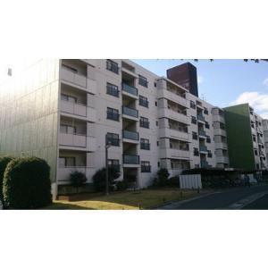 Local appearance photo. Local (12 May 2013) Shooting