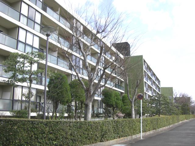 Local appearance photo. Local (May 2012) shooting