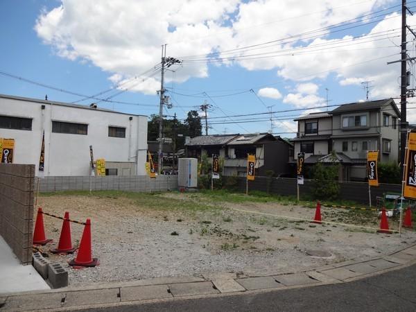 Local photos, including front road