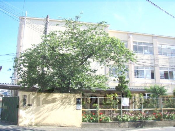 Junior high school. Umezu 200m until junior high school (junior high school)
