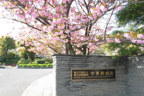 Hospital. National Hospital Organization Utano to the hospital 2651m