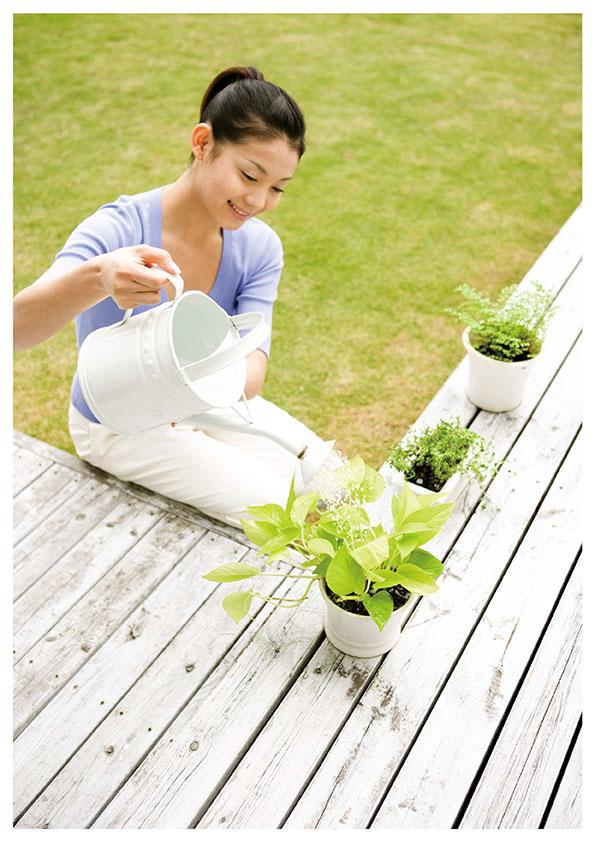 Other. It will also be more fun hobby of gardening.