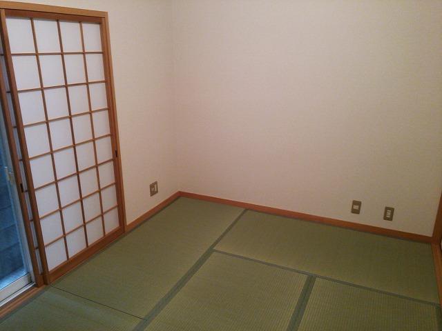 Non-living room. Indoor (February 2013) Shooting