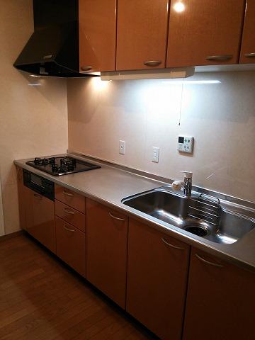 Kitchen. Indoor (February 2013) Shooting