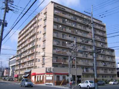 Local appearance photo. Local (11 May 2013) Shooting