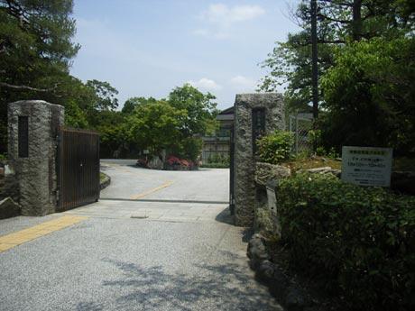 Primary school. Saga about up to elementary school 420m