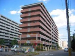 Local appearance photo. Local (10 May 2013) Shooting