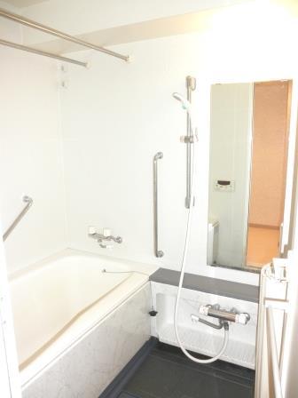 Bathroom. Indoor (10 May 2013) Shooting