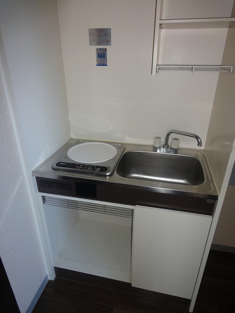 Kitchen. Popular IH kitchen