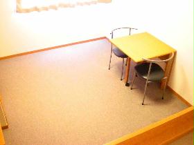 Living and room. Carpet of the room