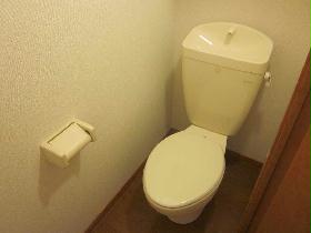 Toilet. Toilet