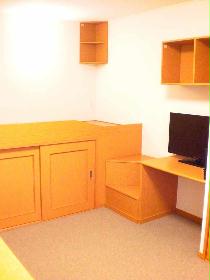 Living and room. Carpet of the room