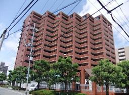 Local appearance photo. Local (12 May 2012) shooting