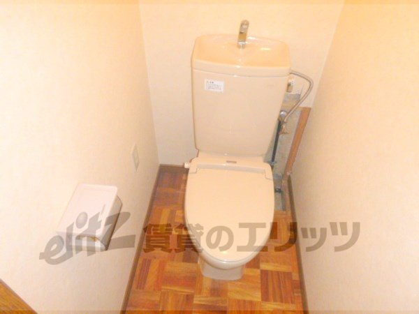 Toilet. Toilet with cleanliness