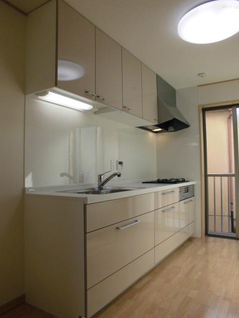 Kitchen. Indoor (11 May 2013) Shooting