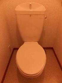 Toilet. Toilet