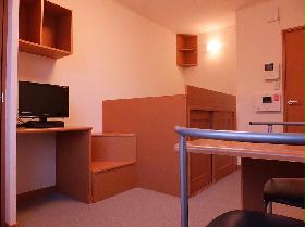 Living and room. Carpet of the room