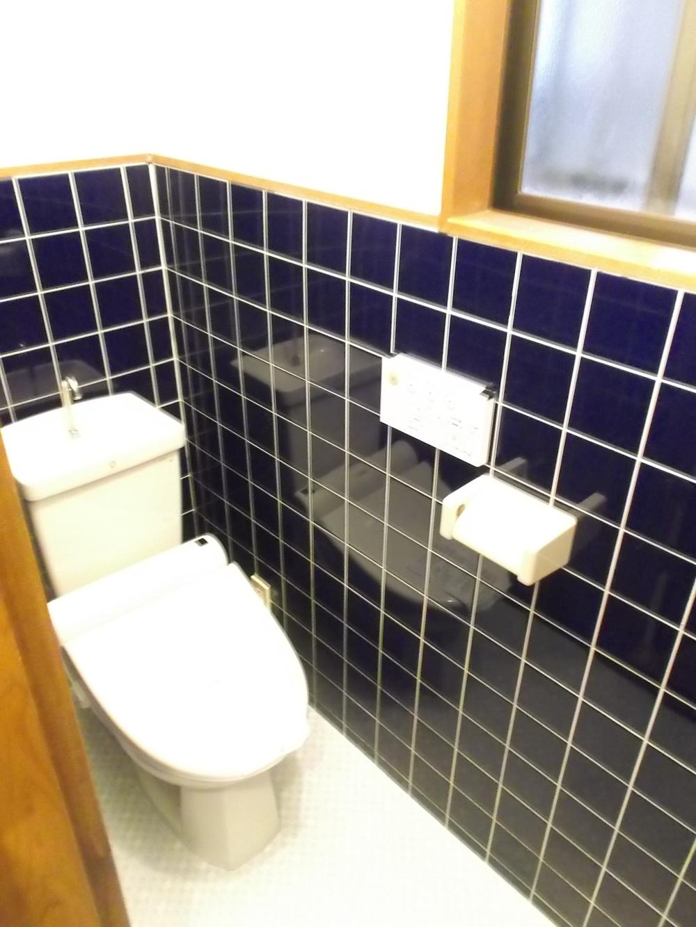 Toilet. Indoor (11 May 2013) Shooting