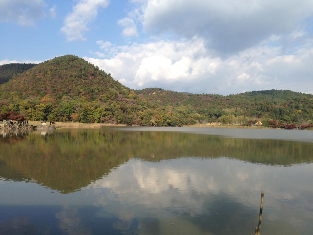 Streets around. 400m until Hirosawa pond