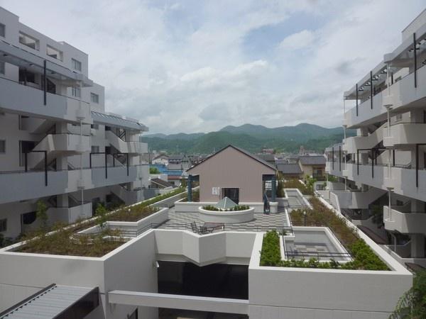 Other common areas. Hanging garden