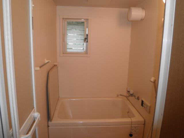 Bathroom. Indoor (09 May 2012) shooting