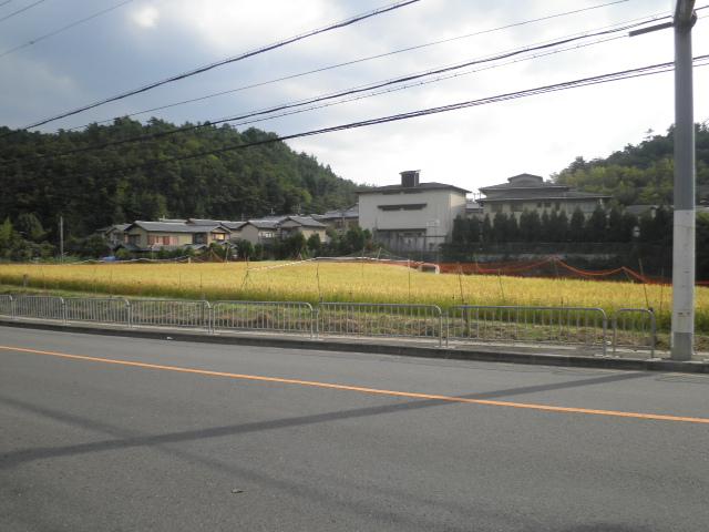 Streets around. 70m to landscape