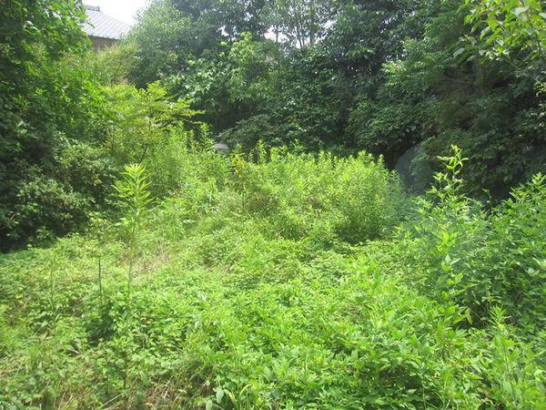 View photos from the dwelling unit