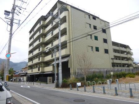 Local appearance photo. Local (12 May 2013) Shooting