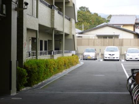 Parking lot. Common areas
