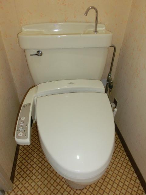 Toilet. Room (August 2013) Shooting