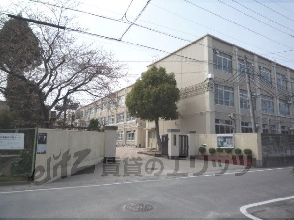 Junior high school. Saga 910m until junior high school (junior high school)