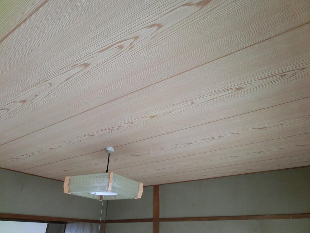 Other introspection. Ceiling part