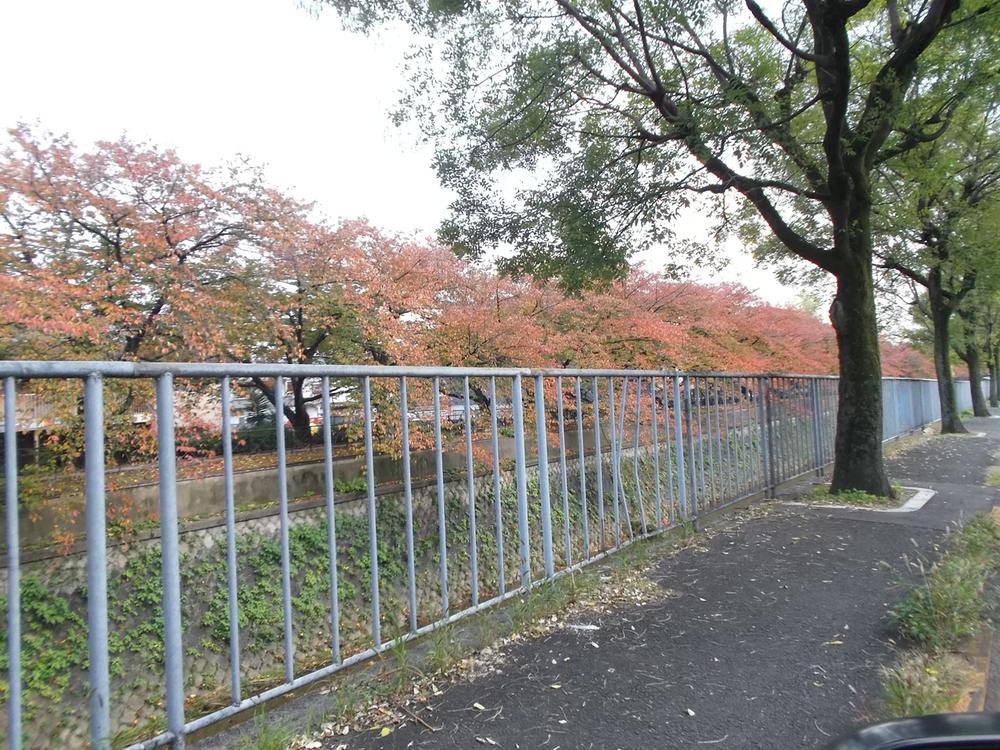 Streets around. To the god river 160m