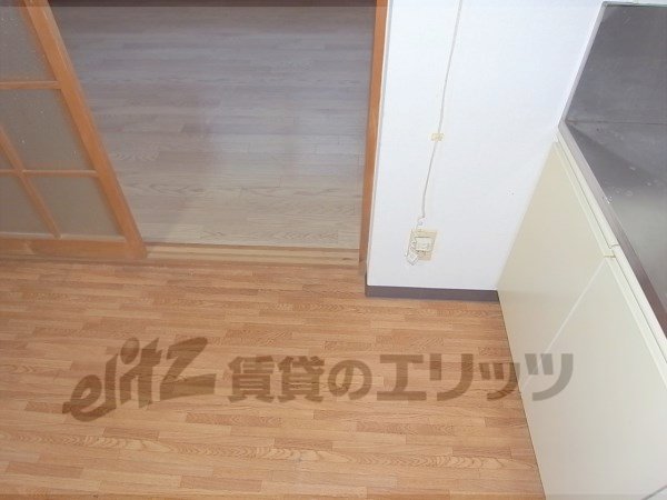 Other room space. Refrigerator is the yard.