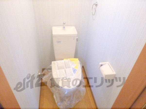 Toilet. Cleanliness overflowing toilet