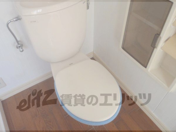 Toilet. Bath and toilet another