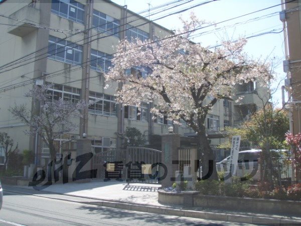 Primary school. Saiin up to elementary school (elementary school) 930m