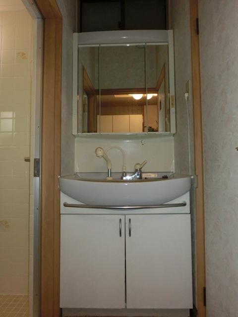 Wash basin, toilet. Indoor (April 2013) Shooting