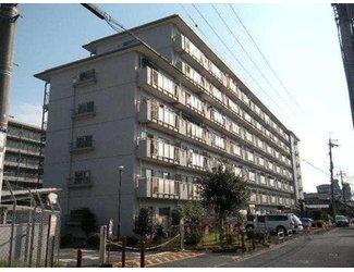 Local appearance photo. Local (12 May 2013) Shooting