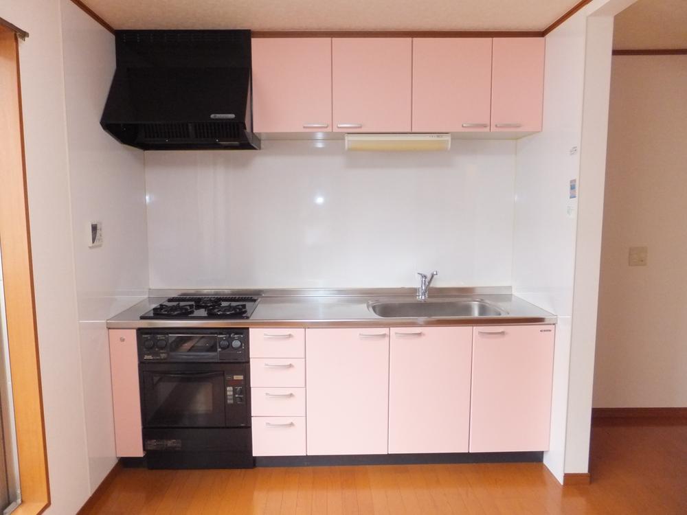 Kitchen. Room (August 2013) Shooting