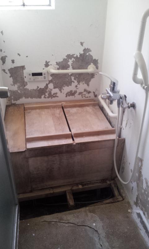 Bathroom. Bathroom should be replaced. 